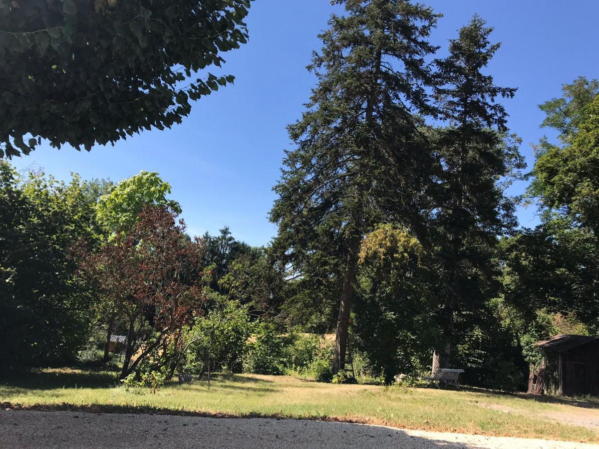 Charmant F1 Avec Terrasse Et Vue Sur Jardin Arbore - Fraicheur Naturelle Du Rez De Jardin - Parking Bellerive-sur-Allier Zewnętrze zdjęcie